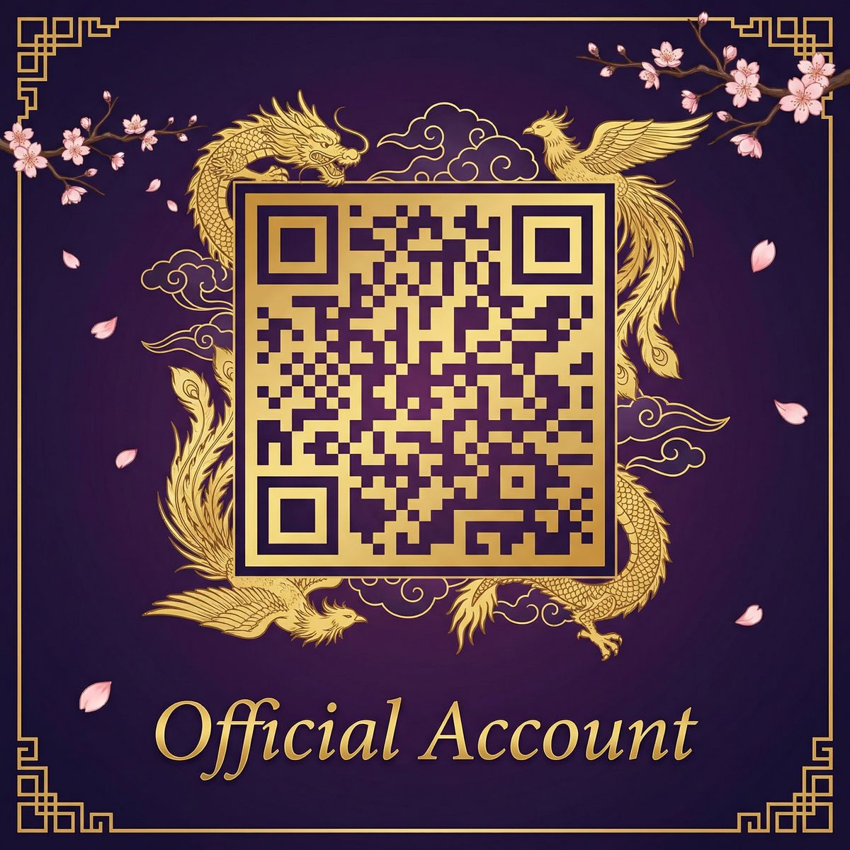 网红主播公众号二维码